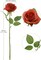 12 Pcs Burnt Orange Artificial Roses with Long Stem, Silk Fake Rose Bouquet for Wedding, Bridal Shower, Home and Party Table Centerpiece Floral Arrangement Decoration